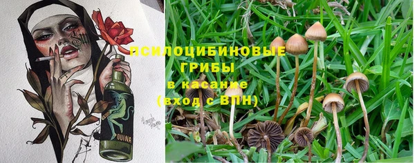 каннабис Сафоново
