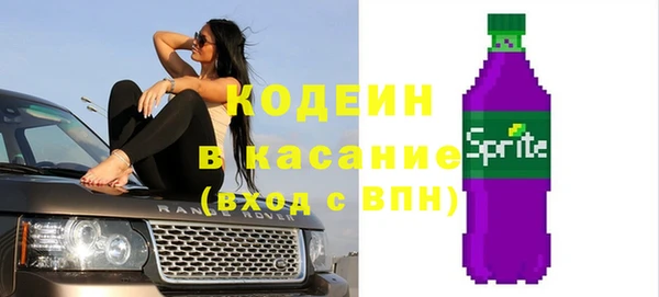 2c-b Инсар