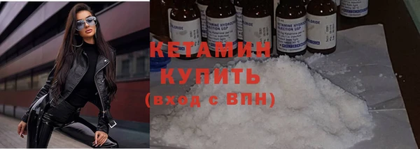 шишки Сатка