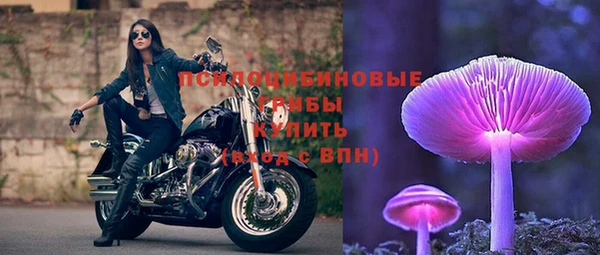 меф Алексин