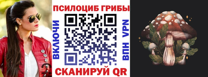нарко площадка как зайти  как найти наркотики  блэк спрут зеркало  Калач-на-Дону  Галлюциногенные грибы GOLDEN TEACHER 