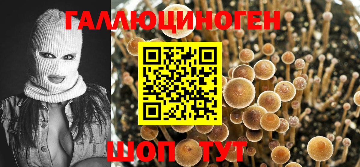 Галлюциногенные грибы Magic Shrooms Калач-на-Дону