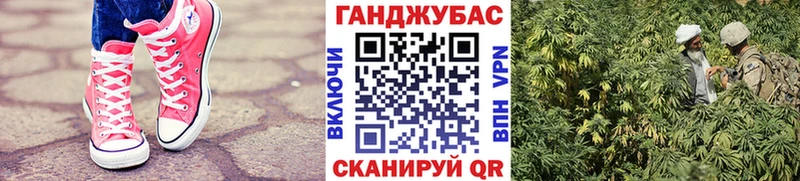 OMG зеркало цена Калач-на-Дону Марихуана сатива