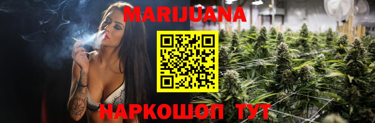 Канабис сатива  Бошки марихуана план  Вход с VPN  Калач-на-Дону 